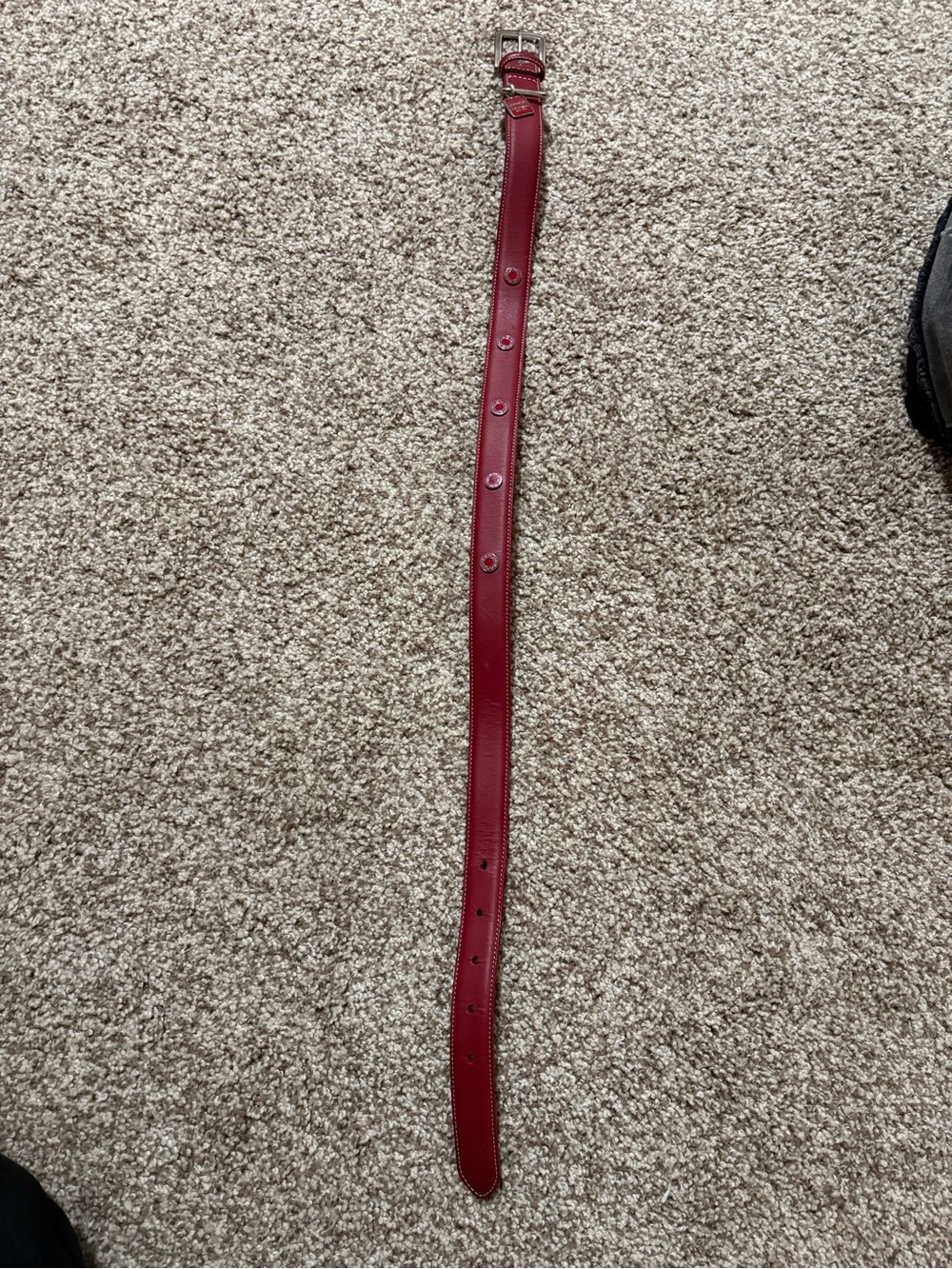 Red Leather Coach dog collar